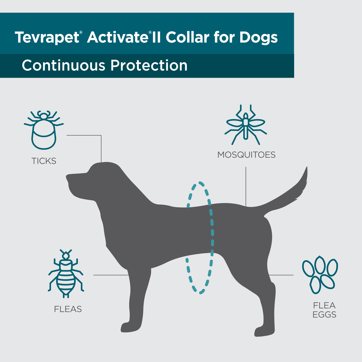 TevraPet Activate II Flea Collar for Dogs
