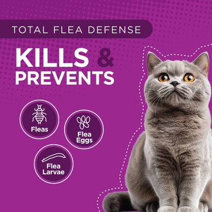 TevraPet Actispot 2 for Cats 6ds