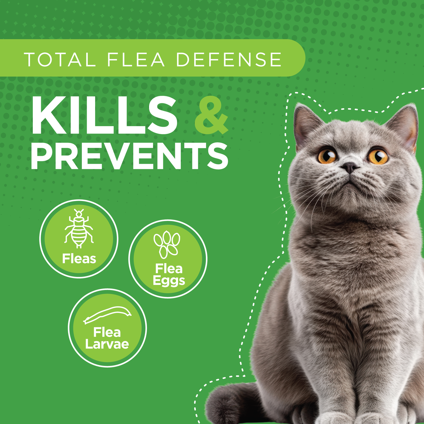 TevraPet Actispot 2 for Cats 6ds