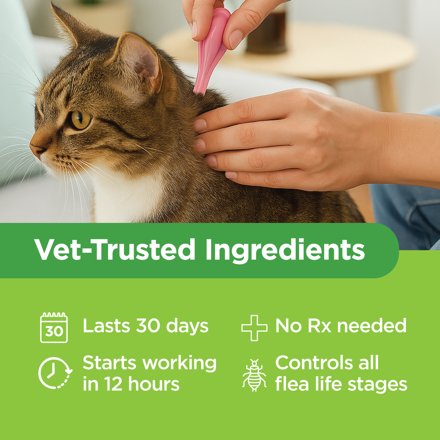 TevraPet Actispot 2 for Cats 6ds