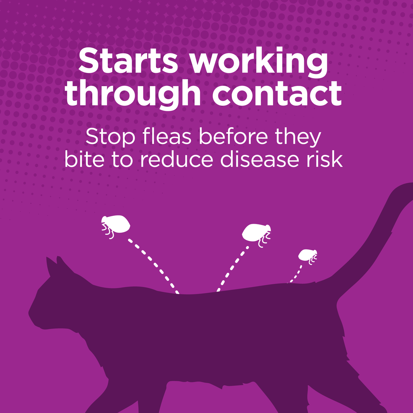 TevraPet Actispot 2 for Cats 6ds