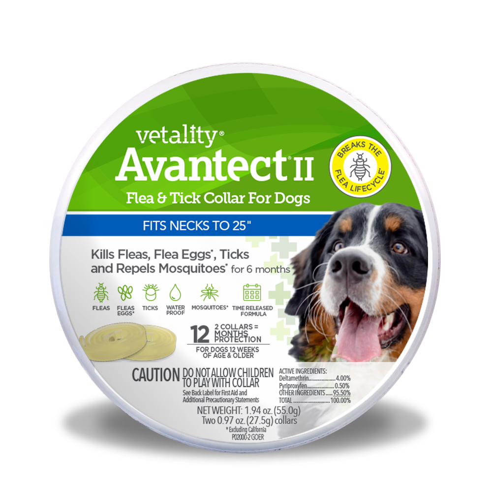 25048 Avantect FT Collar no blister Dogs_fits necks to 26 inches