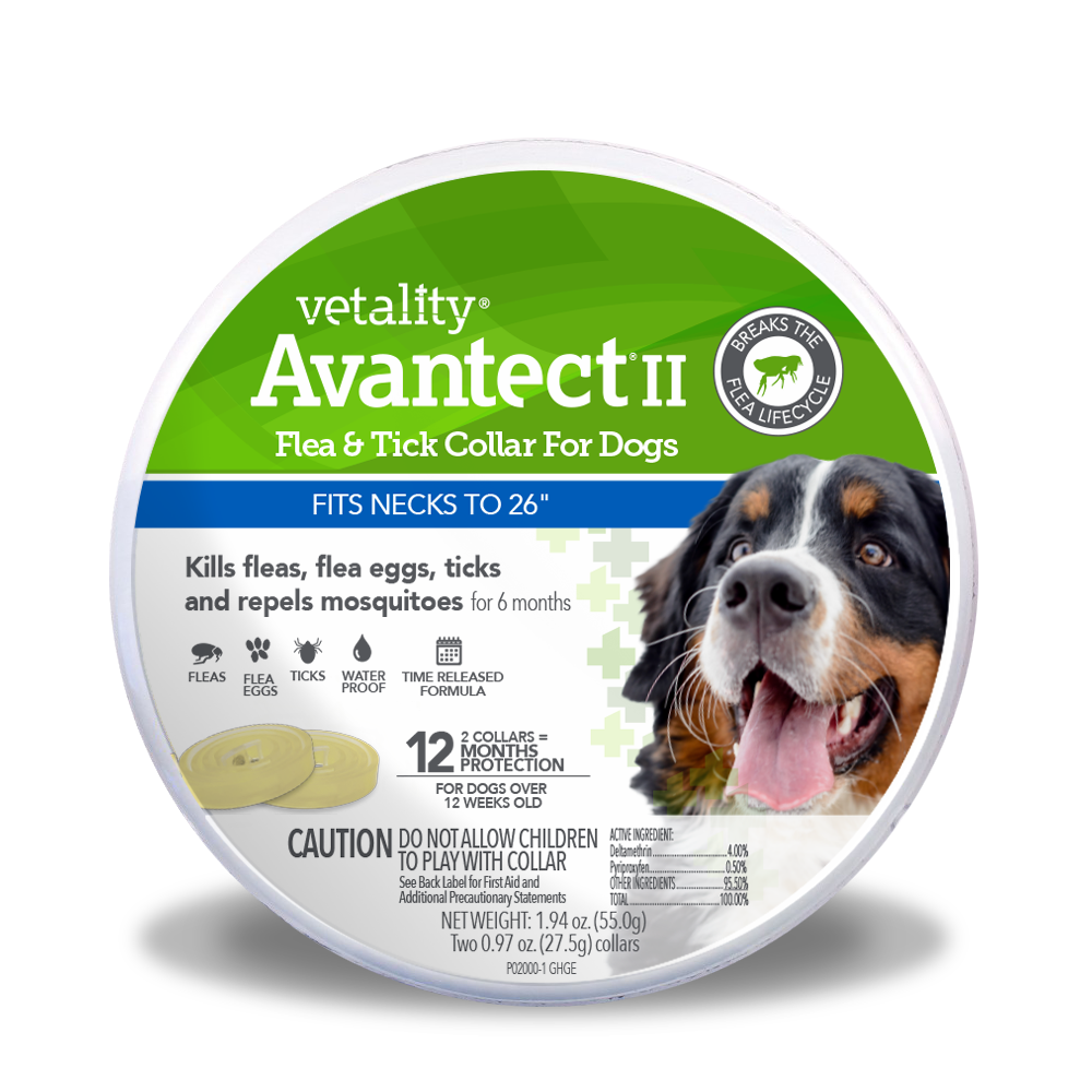 25048 Avantect FT Collar no blister Dogs_fits necks to 26 inches