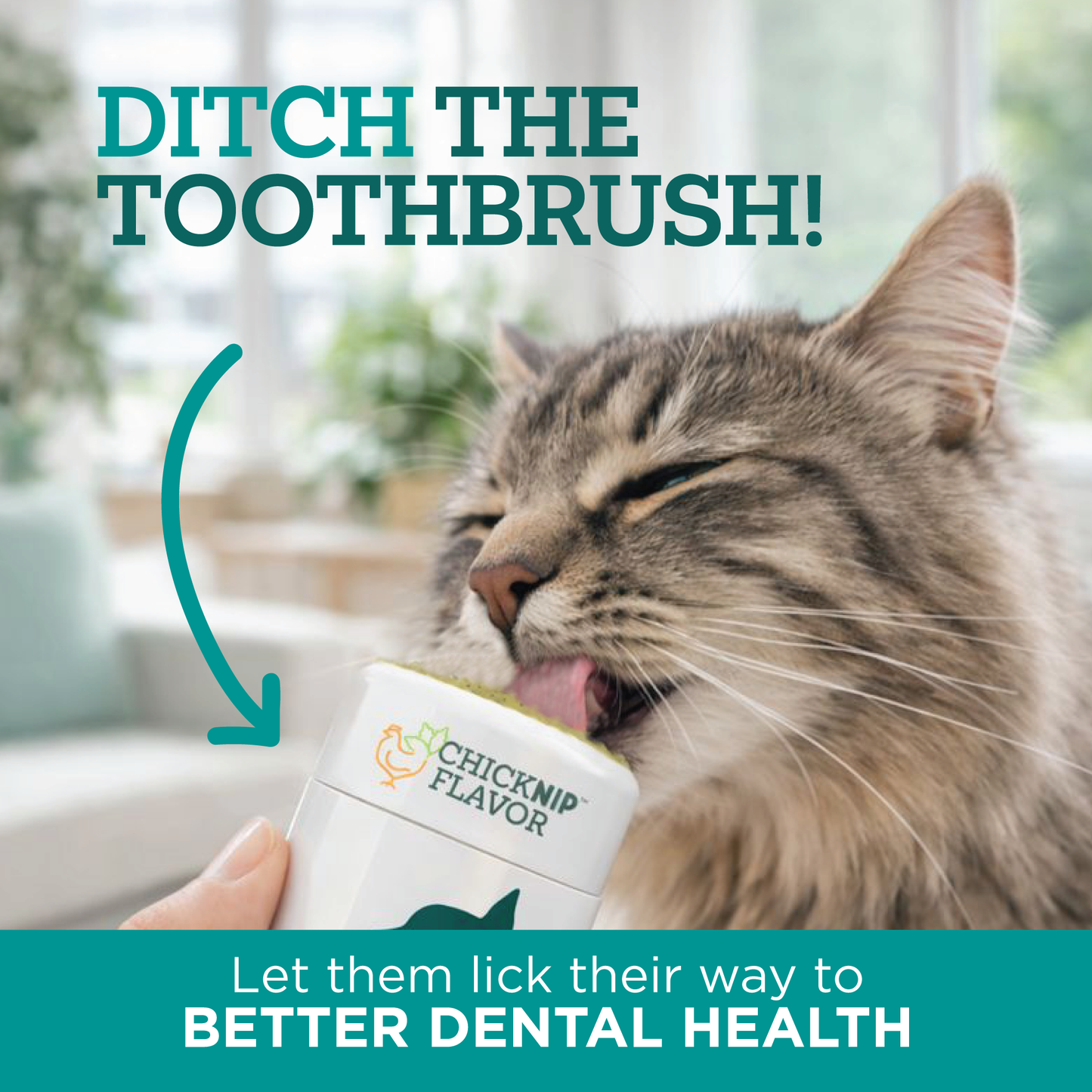 Twist + Lick Dental Gel for Cats, Cleans Teeth and Freshens Breath for 24 Hours, Cat Nip Flavor, 30 Day Supply