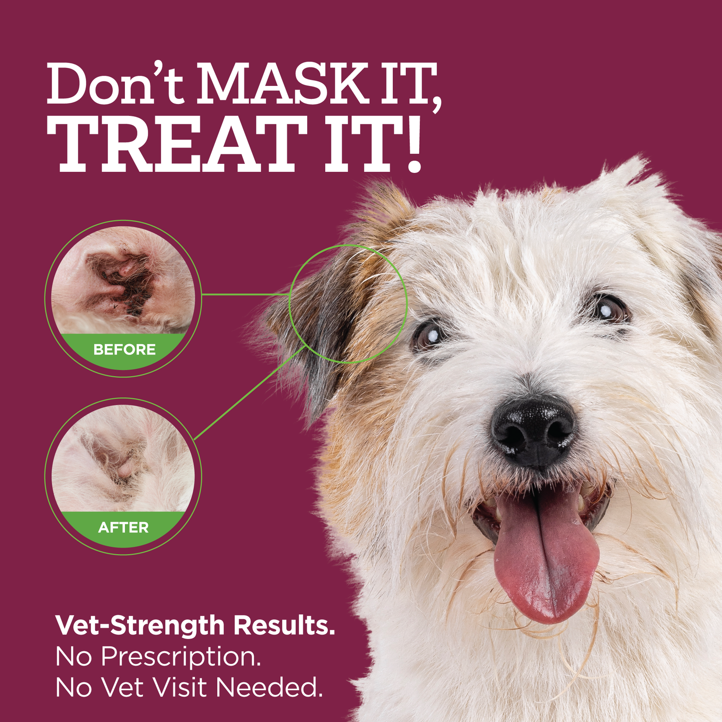 Vetality Medicated Otic Drops