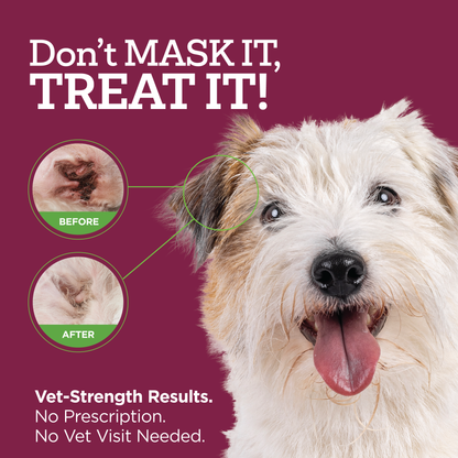 Vetality Medicated Otic Drops