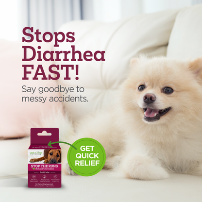 'Stop the Runs' Anti-Diarrhea Chewable for Dogs