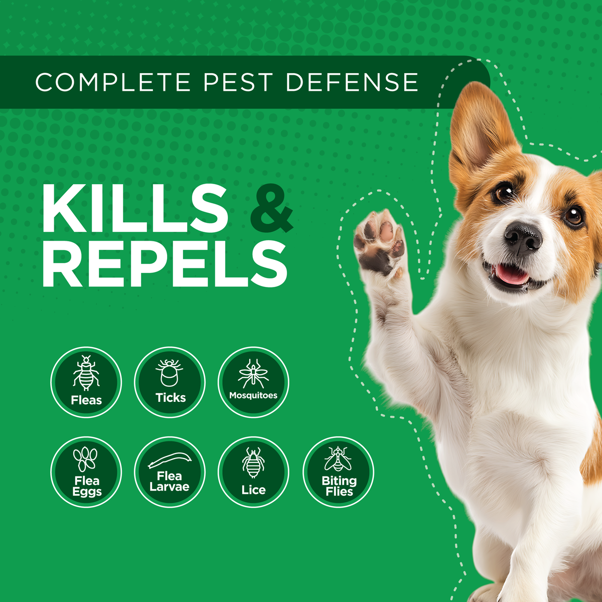 %%title%% %%page%% %%sep%% Flea and Tick Protectio %%sep%% %%sitename ...