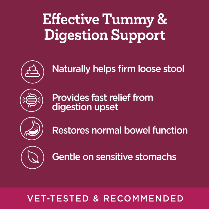 'Stop the Runs' Anti-Diarrhea Chewable for Dogs