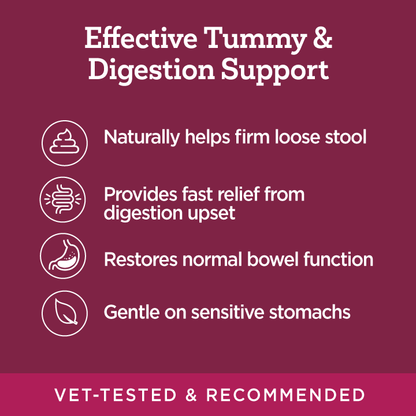 'Stop the Runs' Anti-Diarrhea Chewable for Dogs