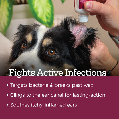 Vetality Medicated Otic Drops