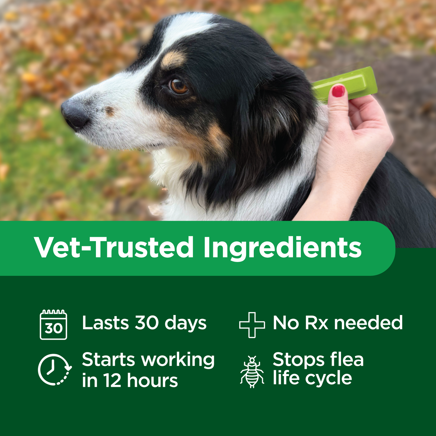 TevraPet Activate II for Dogs