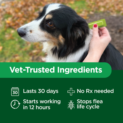 TevraPet Activate II for Dogs