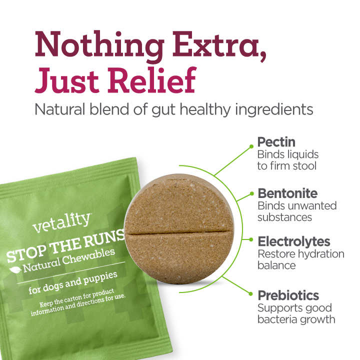 'Stop the Runs' Anti-Diarrhea Chewable for Dogs