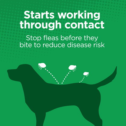 TevraPet Activate II for Dogs