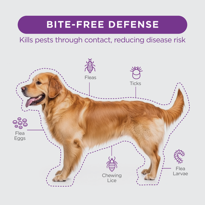 TevraPet FirstAct Plus for Dogs
