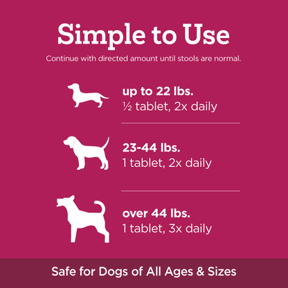 'Stop the Runs' Anti-Diarrhea Chewable for Dogs