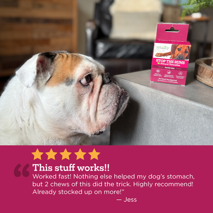 'Stop the Runs' Anti-Diarrhea Chewable for Dogs