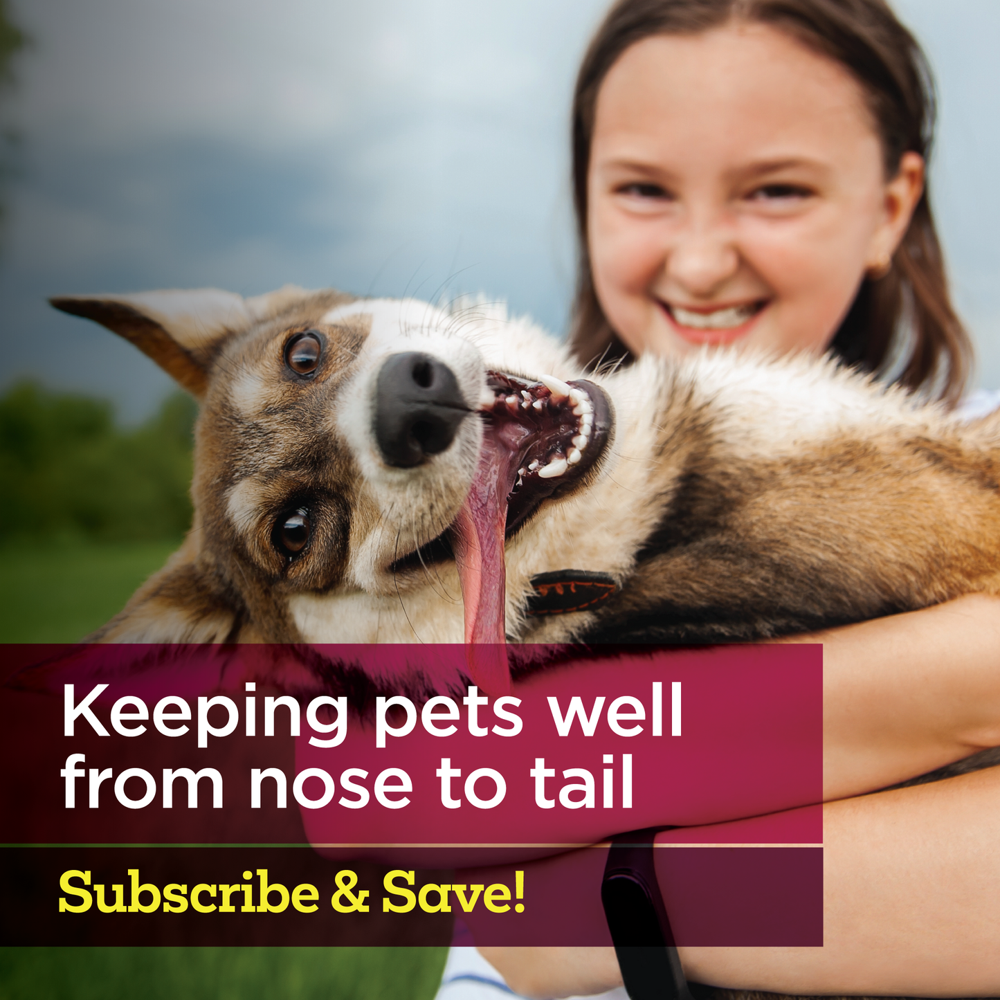 Vetality Medicated Otic Drops