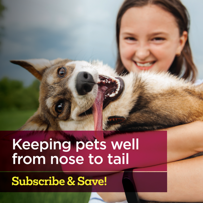 Vetality Medicated Otic Drops