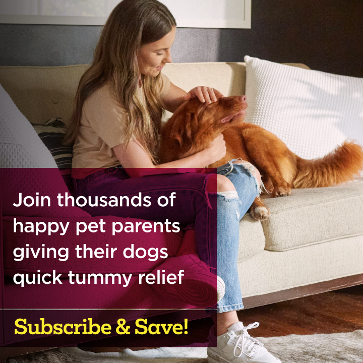 'Stop the Runs' Anti-Diarrhea Chewable for Dogs