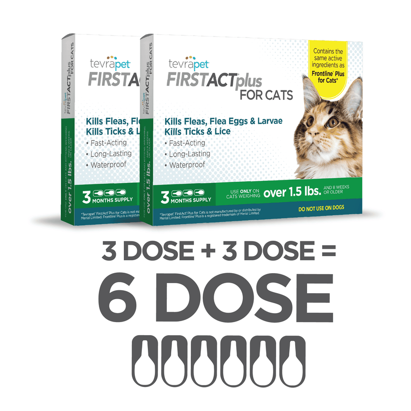 TevraPet FirstAct Plus for Cats Flea and Tick Treatment 6 Doses – Shop ...