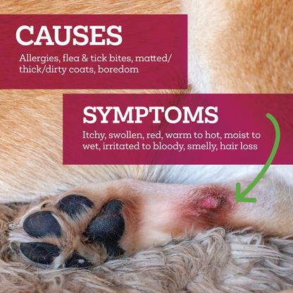 Vetality Hot Spot + Wound Ointment for Pets 2.5oz