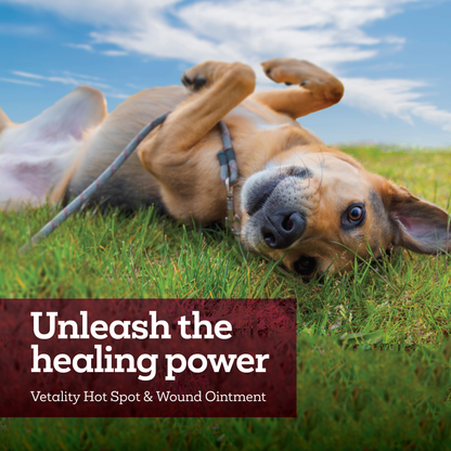 Vetality Hot Spot + Wound Ointment for Pets 2.5oz