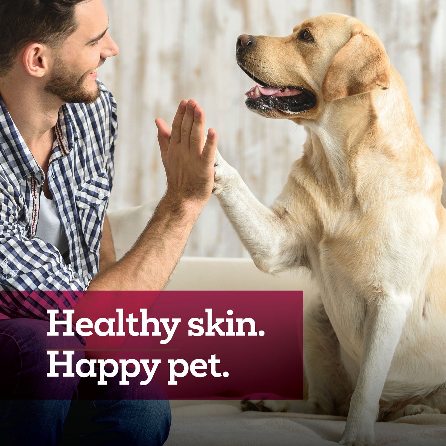 Vetality Hot Spot + Wound Ointment for Pets 2.5oz